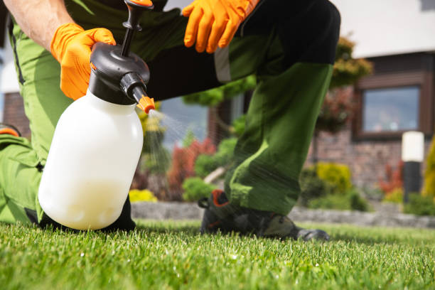 Best Pest Control Treatment  in Key Center, WA