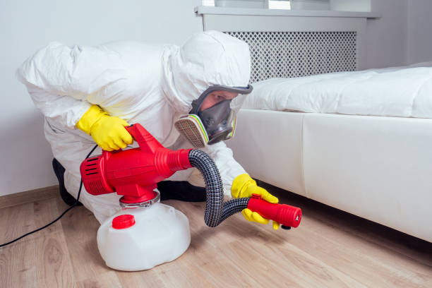 Best Local Pest Control Services  in Key Center, WA