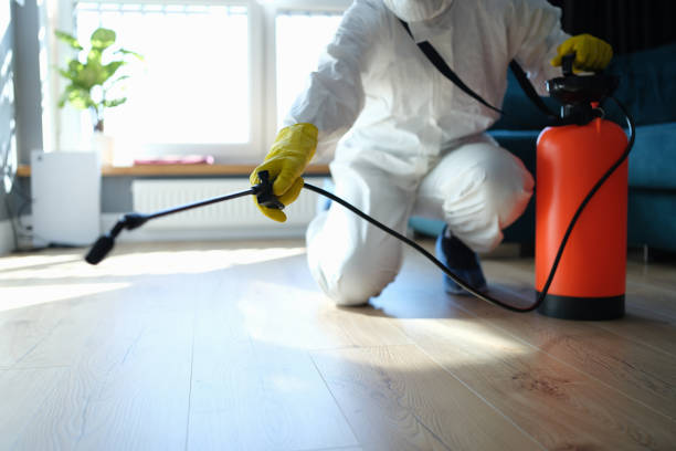 Best Insect Control  in Key Center, WA