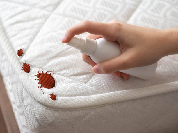 Pest Control Cost in Key Center, WA