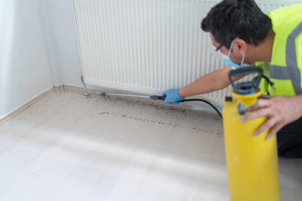 Best Pest Removal Services  in Key Center, WA